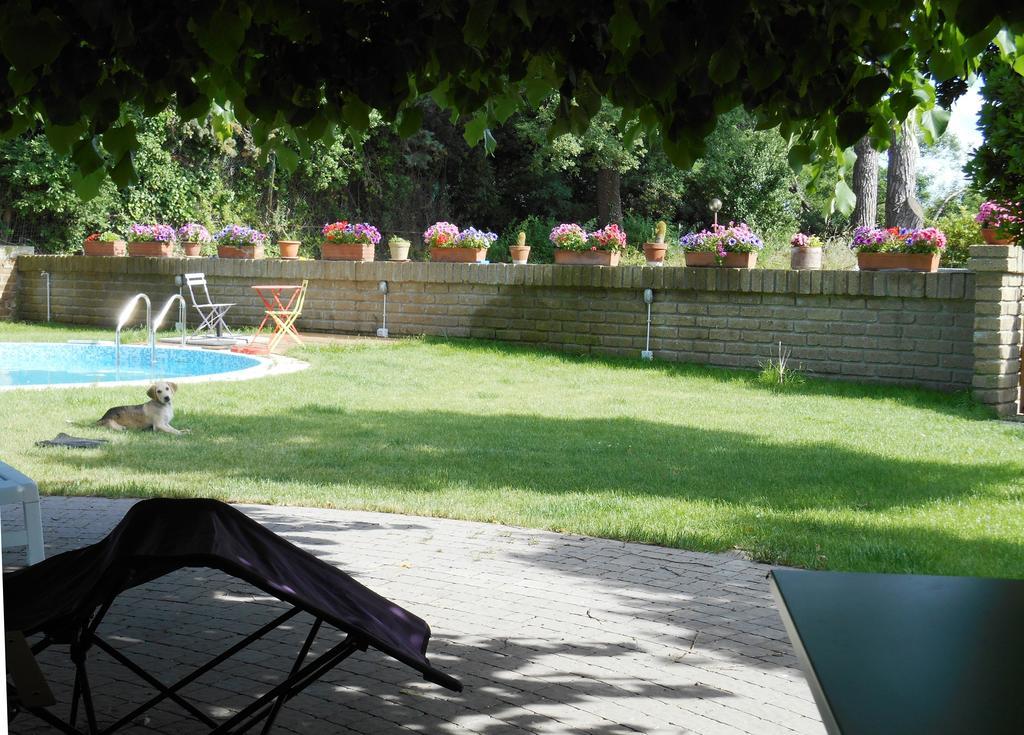 Casale Del Tiglio Bed and Breakfast Cerveteri Δωμάτιο φωτογραφία
