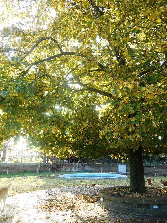 Casale Del Tiglio Bed and Breakfast Cerveteri Δωμάτιο φωτογραφία