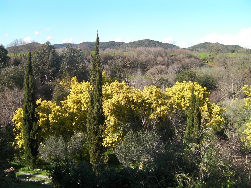 Casale Del Tiglio Bed and Breakfast Cerveteri Δωμάτιο φωτογραφία