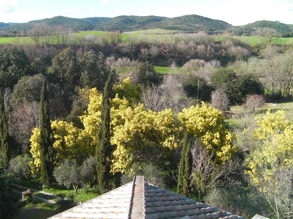 Casale Del Tiglio Bed and Breakfast Cerveteri Δωμάτιο φωτογραφία