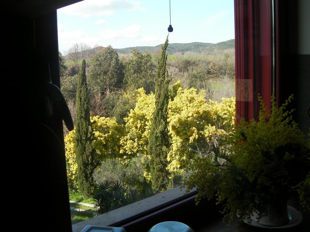 Casale Del Tiglio Bed and Breakfast Cerveteri Δωμάτιο φωτογραφία