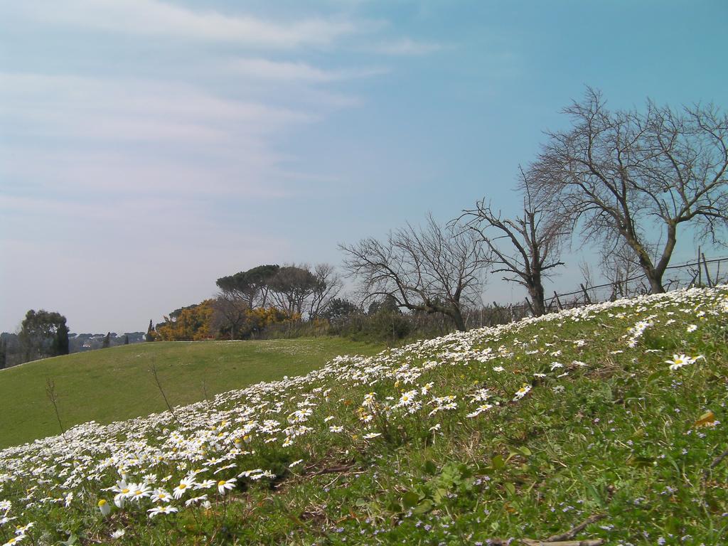 Casale Del Tiglio Bed and Breakfast Cerveteri Δωμάτιο φωτογραφία